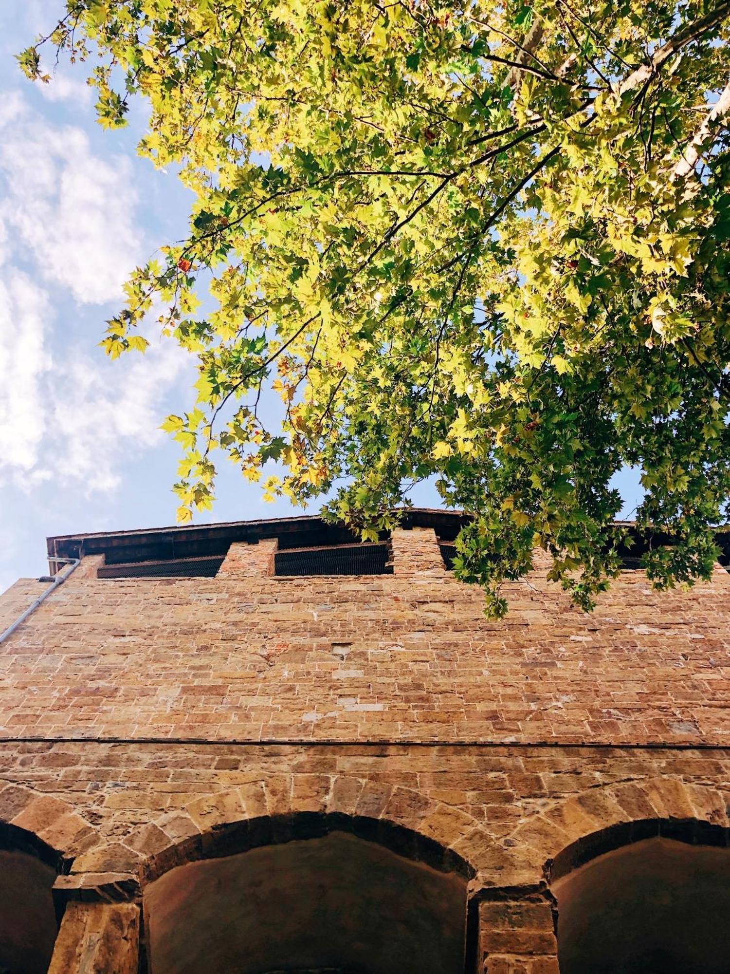 Appartamento D'Arte, L'Oasi Florence Exterior photo